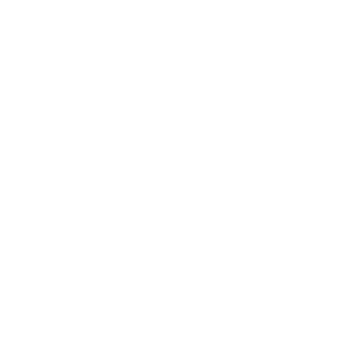MAS Aviation France